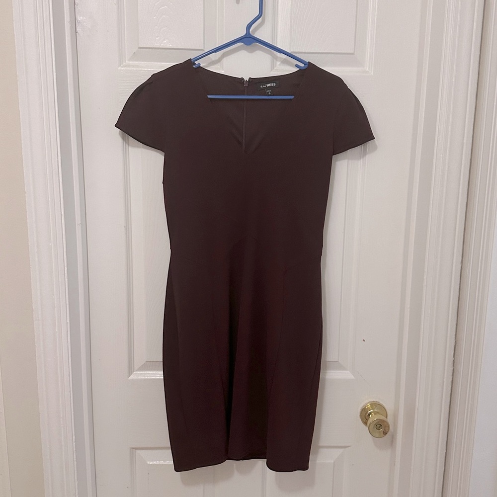 Fitted express maroon cocktail dress